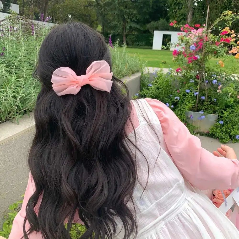 易总的娇娇玫瑰